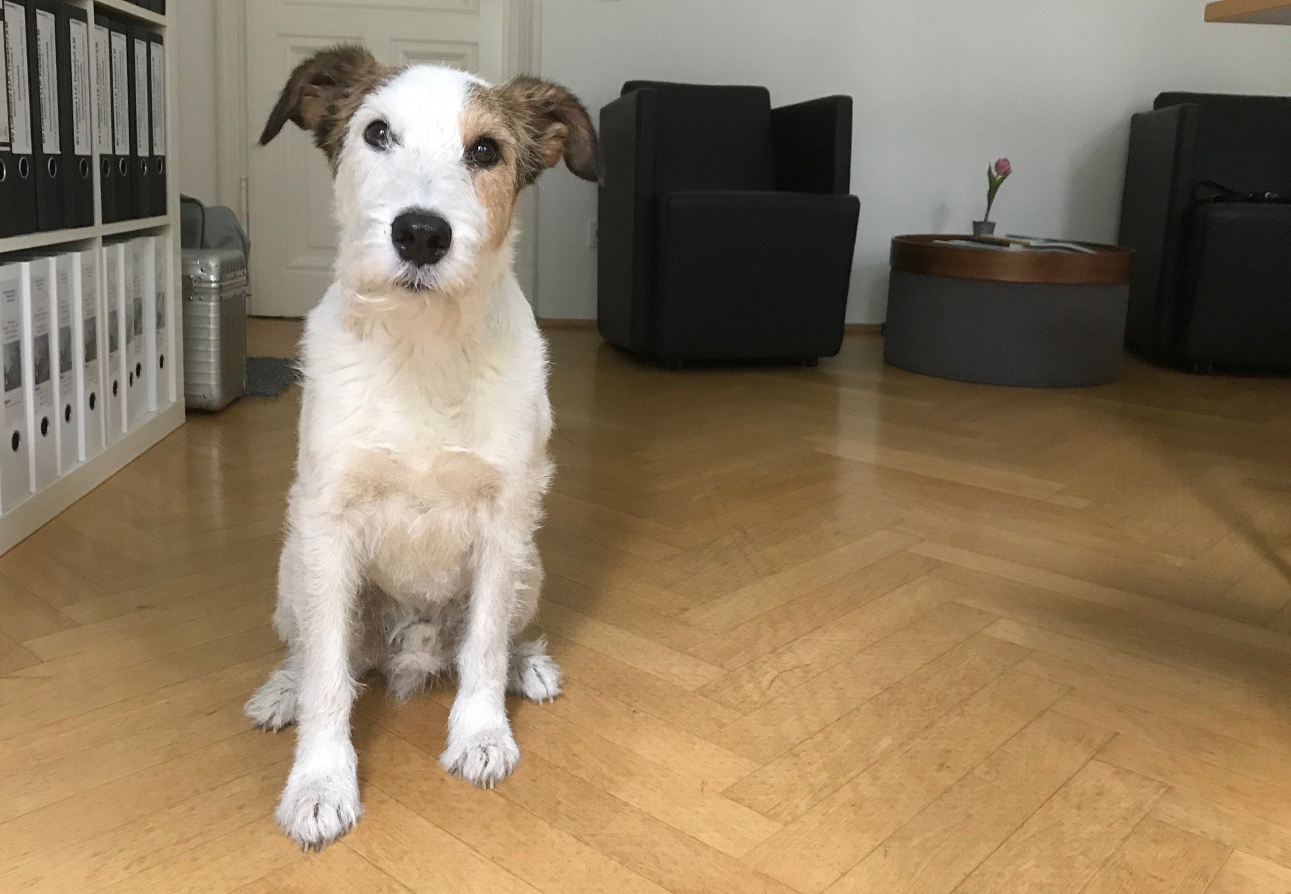 Kalle